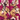 Kara the leopard – 2-Way Tricot Body Pillow