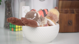 Ivycomb "Ivybean" Display Plushie [FINAL SALE]
